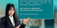 info 6